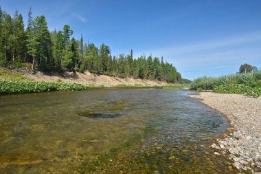 Virgin Komi ormanlar, nehrin Shchugor. 