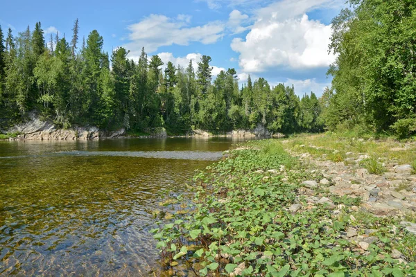 Maagdelijke Komiwouden, de rivier Shchugor. — Stockfoto