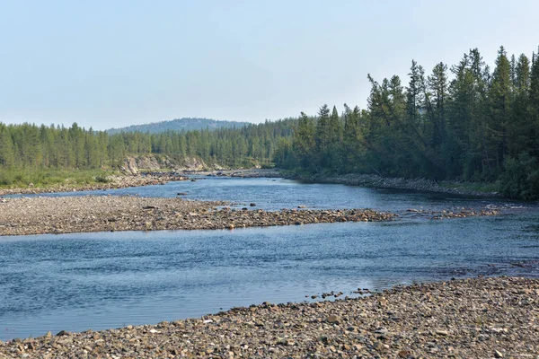 Taiga floden. — Stockfoto