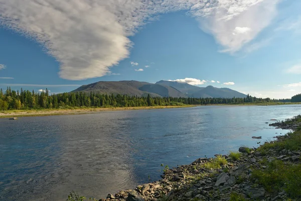 "Komi Virgin Forests "- ett världsarv från Unesco. — Stockfoto