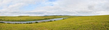 Kutup-Ural doğal parkında yaz tundrası.