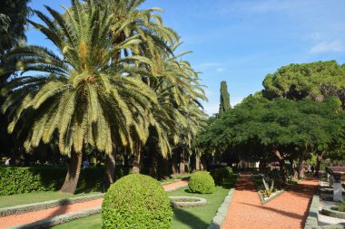 Bahai bahçeleri Haifa. 