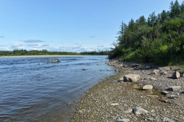 Kutup Uralları 'nın Taiga nehri boyunca yaz gezisi.