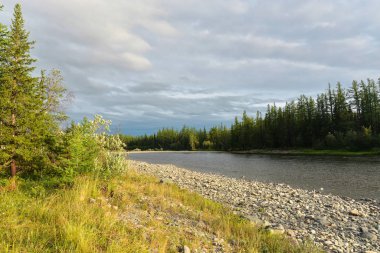 Kutup Uralları 'nın Taiga nehri boyunca yaz gezisi.