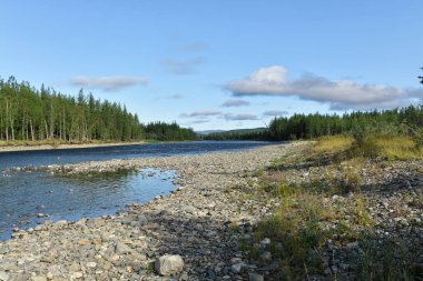 Kutup Uralları 'nın Taiga nehri boyunca yaz gezisi.
