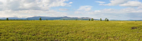 Summer tundra in the Polar-Ural natural park. — Stock Photo, Image