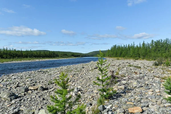 Viaje de verano por el río taiga de los Urales Polares . —  Fotos de Stock