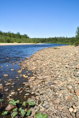 Yugyd Va Ulusal Parkı 'nda yaz.. 