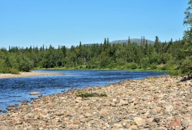 Yugyd Va Ulusal Parkı 'nda yaz.. 