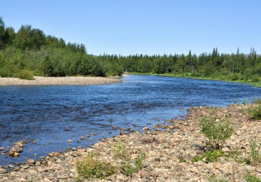 Yugyd Va Ulusal Parkı 'nda yaz.. 