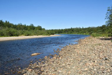 Yugyd Va Ulusal Parkı 'nda yaz.. 