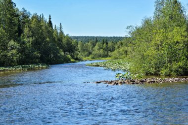 Yugyd Va Ulusal Parkı 'nda yaz.. 