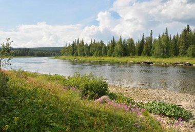 Yugyd Va Ulusal Parkı 'nda yaz.. 