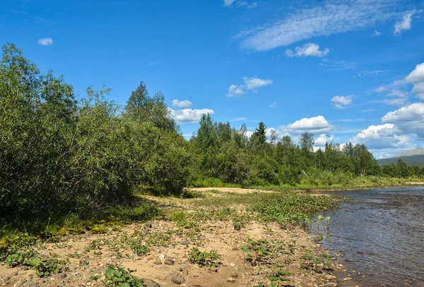 L'été dans le parc national de Yugyd Va . — Photo