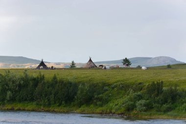 Yamal 'daki Nenets kampı.. 
