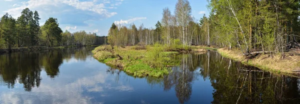 Meshchersky Nationaal Park in mei. — Stockfoto
