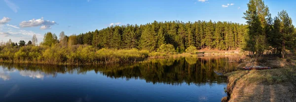 Meshchersky national Park in may. — 스톡 사진