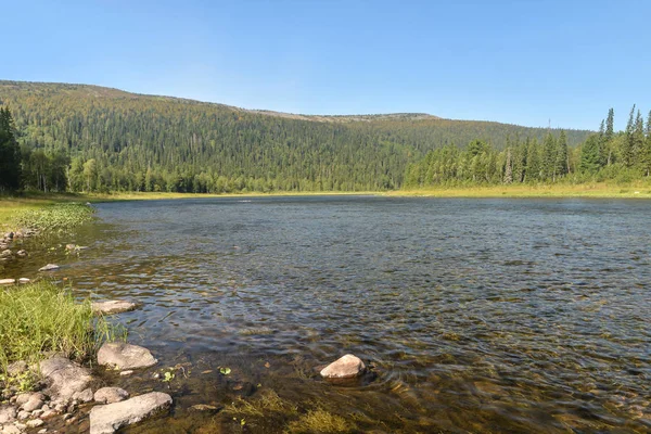 Nyár a Yugyd Va Nemzeti Parkban. — Stock Fotó