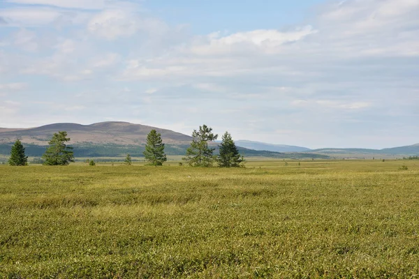 Tundra van het schiereiland Yamal. — Stockfoto