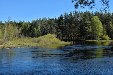 Spring, PRA river in Meshchersky national Park.