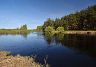 Spring, PRA river in Meshchersky national Park.