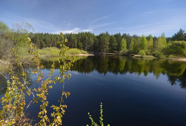 Voorjaar, Pra rivier in Meshchersky National Park. — Stockfoto