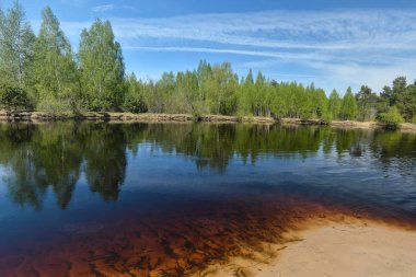 Spring, PRA river in Meshchersky national Park.