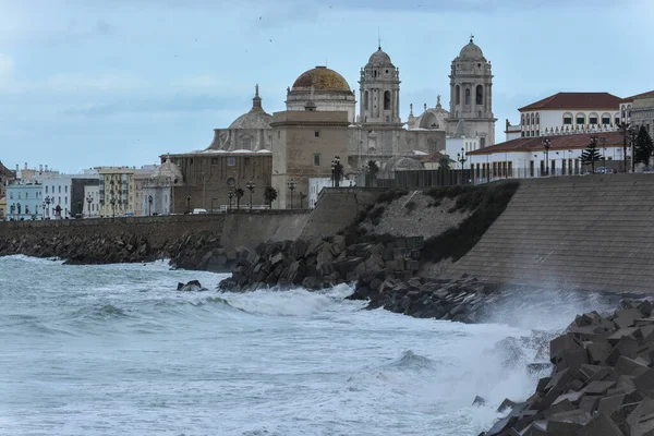 Promenade and Cathedral of Santa Cruz in Cadiz, Spain. — Stock Photo, Image