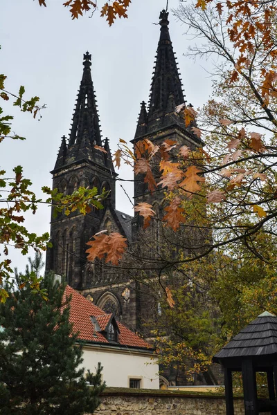 Caminhando Outono Praga Paisagem Urbana Capital República Checa — Fotografia de Stock