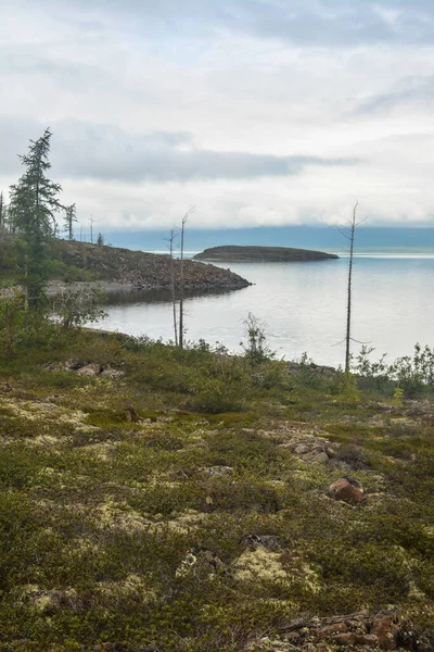 普托拉纳高原上的湖泊 西伯利亚北部夏季水景 — 图库照片