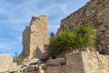 Eski Caesarea kalıntıları. Akdeniz kıyısında, İsrail 'in tarihi bir şehri..