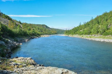 Tayga nehri. Kutup Uralları 'nın doğu yamacı. Kuzey Rusya 'nın su manzarası.