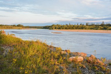 Tayga nehri. Kutup Uralları 'nın doğu yamacı. Kuzey Rusya 'nın su manzarası.