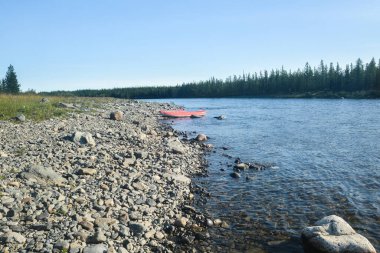 Tayga nehri. Kutup Uralları 'nın doğu yamacı. Kuzey Rusya 'nın su manzarası.