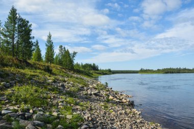 Tayga nehri. Kutup Uralları 'nın doğu yamacı. Kuzey Rusya 'nın su manzarası.
