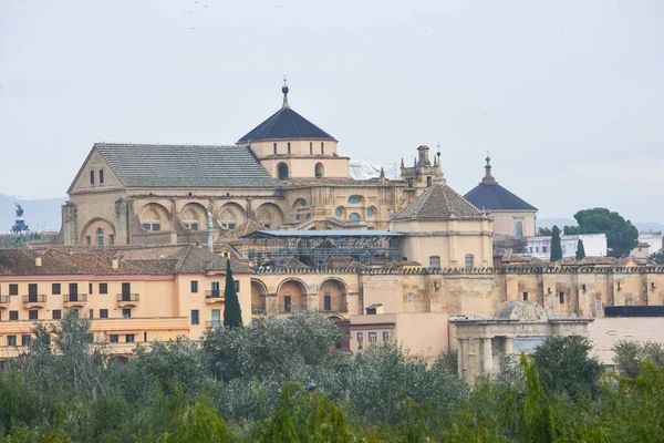 Moskén Katedralen Cordoba Andalusiens Viktigaste Attraktion Ett Unescos Världsarv — Stockfoto