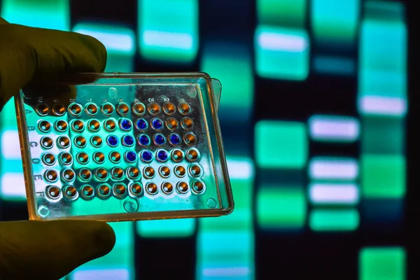 Dna Testing Well Plate Background Electrophoregram — Stock Photo, Image