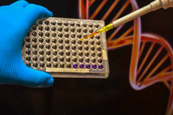 Investigación Adn Pipeta Muestra Biológica Placa Del Pozo —  Fotos de Stock