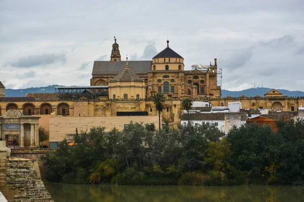 Moskén Katedralen Cordoba Andalusiens Viktigaste Attraktion Ett Unescos Världsarv — Stockfoto