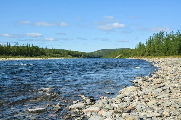 Río Taiga Verano Ladera Oriental Los Urales Polares Paisaje Acuático — Foto de Stock