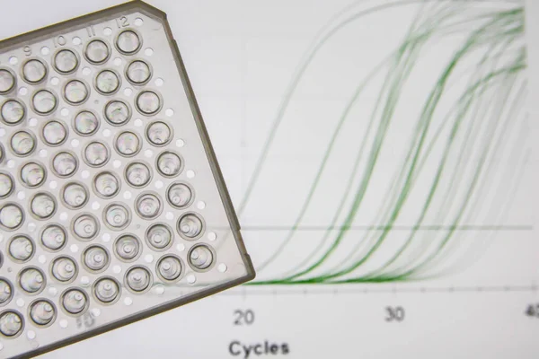 Método Investigación Pcr Tiempo Real Placa Pozos Fondo Las Curvas — Foto de Stock