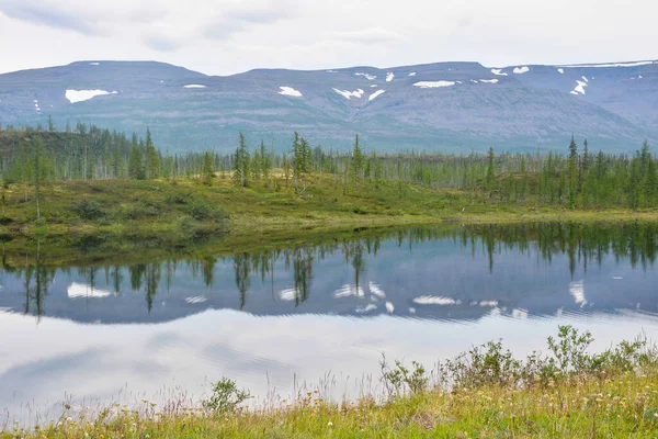 See Auf Der Hochebene Von Putorana Sommerliche Wasserlandschaft Norden Sibiriens — Stockfoto