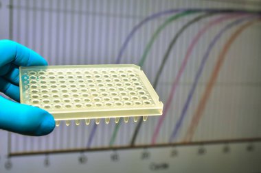 Laboratuvarda gerçek zamanlı PCR araştırması. Amplifikasyon eğrilerinin arka planında 96-kuyu plakası.