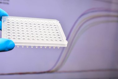 Laboratuvarda gerçek zamanlı PCR araştırması. Amplifikasyon eğrilerinin arka planında 96-kuyu plakası.