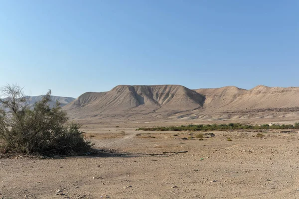 Judese Woestijn Israël Woestijnlandschap Het Oosten Van Israël November — Stockfoto