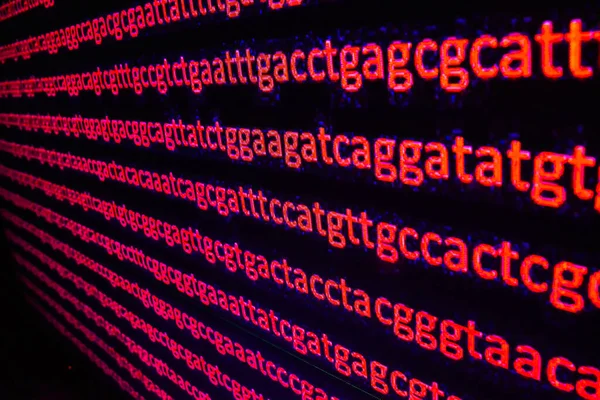 Sequenciamento Genómico Sequência Bases Nucleotídeos Dna — Fotografia de Stock