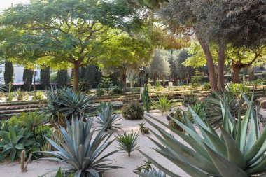 Hayfa 'daki Bahai Bahçeleri. Akdeniz kıyısındaki bir İsrail şehrindeki UNESCO Dünya Mirası Alanı.