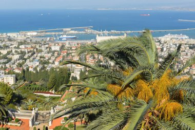 Hayfa 'daki Bahai Bahçeleri. Akdeniz kıyısındaki bir İsrail şehrindeki UNESCO Dünya Mirası Alanı.