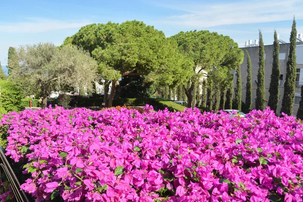 Bahai Gardens Haifa Unesco World Heritage Site Israeli City Mediterranean — Stock Photo, Image