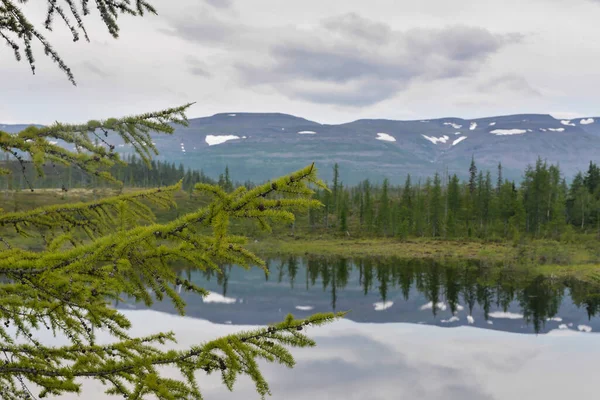 Bergsee Auf Der Hochebene Von Putorana Sommerliche Wasserlandschaft Norden Sibiriens — Stockfoto